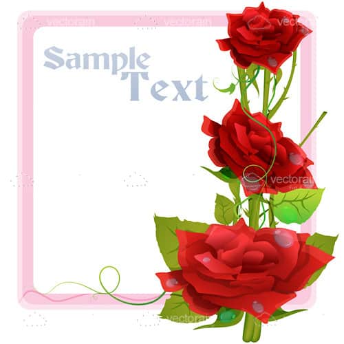 Pink Frame with Red Roses and Sample Text